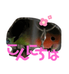 愛すべきインコ達（個別スタンプ：2）