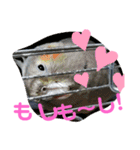 愛すべきインコ達（個別スタンプ：4）