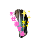 愛すべきインコ達（個別スタンプ：7）