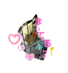 愛すべきインコ達（個別スタンプ：8）