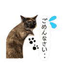 コタハナ日常で使えるスタンプ（個別スタンプ：9）