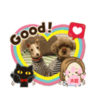トイプーのげんちゃん 可愛いお友達（個別スタンプ：23）