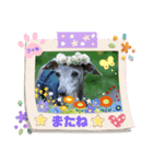 トイプーのげんちゃん 可愛いお友達（個別スタンプ：28）