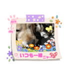 トイプーのげんちゃん 可愛いお友達（個別スタンプ：31）