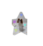 キャバリア犬01（個別スタンプ：20）