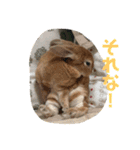 日常使える挨拶スタンプ（個別スタンプ：9）
