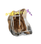 日常使える挨拶スタンプ（個別スタンプ：11）