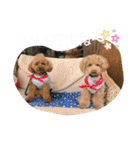 日常使える挨拶スタンプ（個別スタンプ：17）