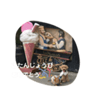 日常使える挨拶スタンプ（個別スタンプ：19）