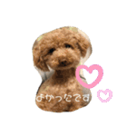 日常使える挨拶スタンプ（個別スタンプ：21）