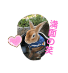 日常使える挨拶スタンプ（個別スタンプ：23）