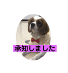 癒しのキャバリア⑵（個別スタンプ：4）