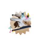 ごくうちゃん2（個別スタンプ：2）