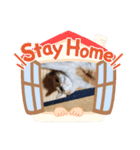 ごくうちゃん2（個別スタンプ：3）