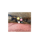 ごくうちゃん2（個別スタンプ：4）