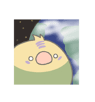 インコくんの生活（個別スタンプ：1）