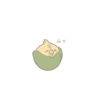 インコくんの生活（個別スタンプ：13）