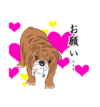 キモくてかわいいブルドックです（個別スタンプ：2）