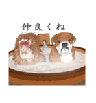 キモくてかわいいブルドックです（個別スタンプ：4）