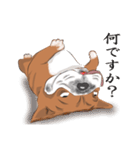 キモくてかわいいブルドックです（個別スタンプ：7）