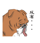 キモくてかわいいブルドックです（個別スタンプ：13）
