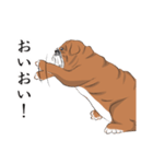 キモくてかわいいブルドックです（個別スタンプ：15）