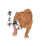 キモくてかわいいブルドックです（個別スタンプ：18）