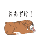 キモくてかわいいブルドックです（個別スタンプ：20）