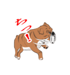 キモくてかわいいブルドックです（個別スタンプ：25）