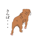 キモくてかわいいブルドックです（個別スタンプ：30）