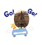 うさぎのモカちゃんスタンプpart2（個別スタンプ：15）