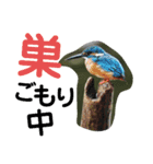 新しい日常笑顔でチャレンジ（個別スタンプ：5）