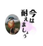 新しい日常笑顔でチャレンジ（個別スタンプ：9）
