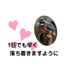 新しい日常笑顔でチャレンジ（個別スタンプ：13）