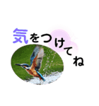 新しい日常笑顔でチャレンジ（個別スタンプ：20）