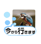 新しい日常笑顔でチャレンジ（個別スタンプ：22）