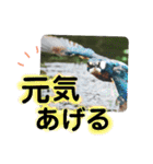 新しい日常笑顔でチャレンジ（個別スタンプ：23）