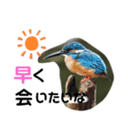 新しい日常笑顔でチャレンジ（個別スタンプ：24）