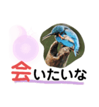 新しい日常笑顔でチャレンジ（個別スタンプ：33）