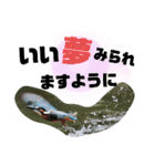 新しい日常笑顔でチャレンジ（個別スタンプ：36）