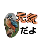 新しい日常笑顔でチャレンジ（個別スタンプ：37）