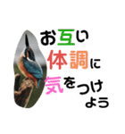 新しい日常笑顔でチャレンジ（個別スタンプ：38）