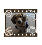 チョビくんスタンプ1（個別スタンプ：8）