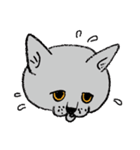 いもこの日常会話（個別スタンプ：1）