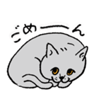 いもこの日常会話（個別スタンプ：5）