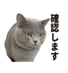 いもこ〜仕事編〜（個別スタンプ：2）