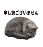 いもこ〜仕事編〜（個別スタンプ：4）