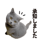 いもこ〜仕事編〜（個別スタンプ：5）