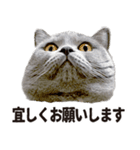 いもこ〜仕事編〜（個別スタンプ：6）