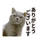 いもこ〜仕事編〜（個別スタンプ：7）